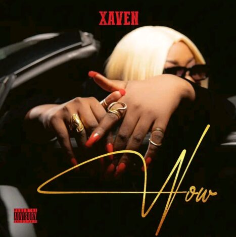 Download Mp3: "wow" Xaven