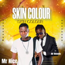 Download Mp3: "Skin Color" Mr Nice Ft Mr Melodic