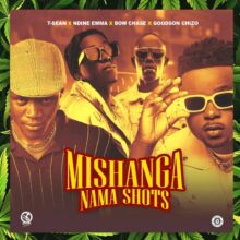 Download "Mishanga Nama Shots" Mp3 By T-Sean,Ndine Emma,Bow Chase & Goodson Chizo,“Mishanga Na Shot” is an exciting collaboration